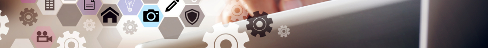 Programs, services & groups