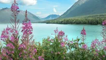 Fairbanks Alaska