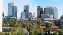 phoenix