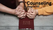counseling