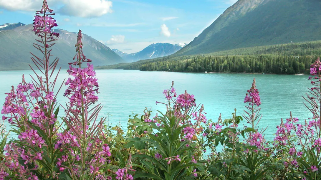 Fairbanks Alaska